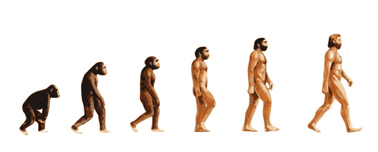 DER AFFENPROZESS – EVOLUTION KONTRA SCHOEPFUNGSGESCHICHTE Foto von DER AFFENPROZESS – EVOLUTION KONTRA SCHOEPFUNGSGESCHICHTE