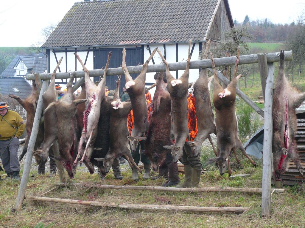 Foto von KRACH UM DEN RICHTIGEN SCHUSS
