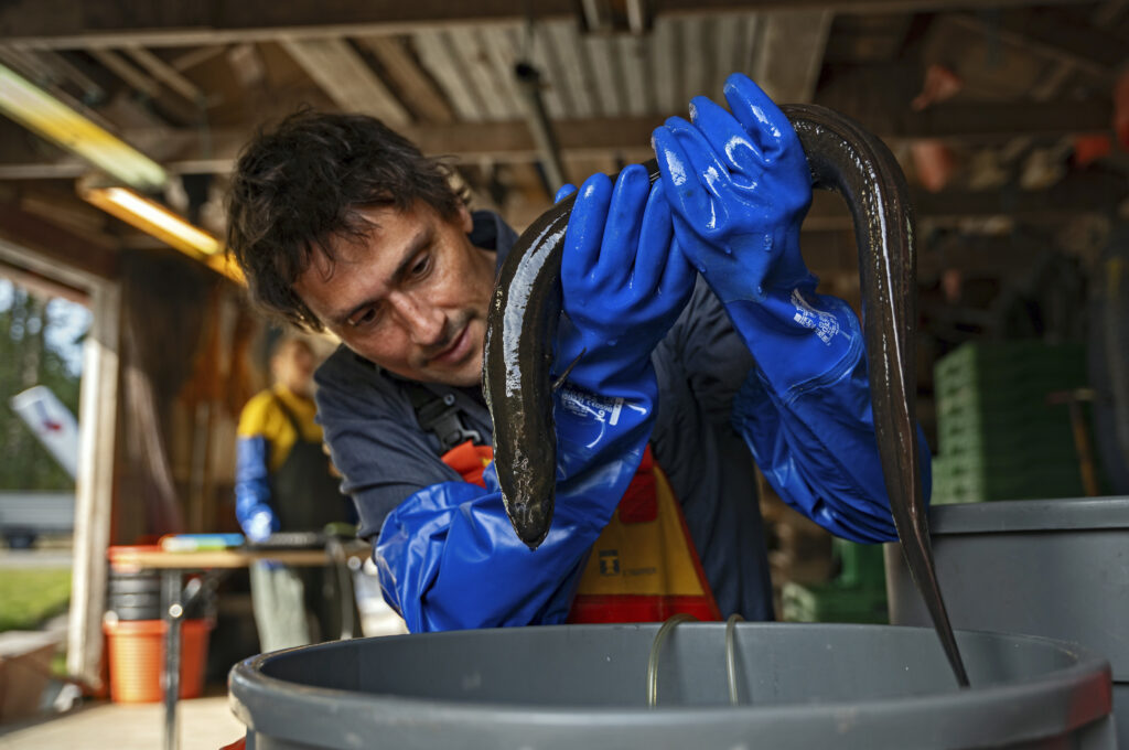 Foto von FASZINATION WASSER – SEEN