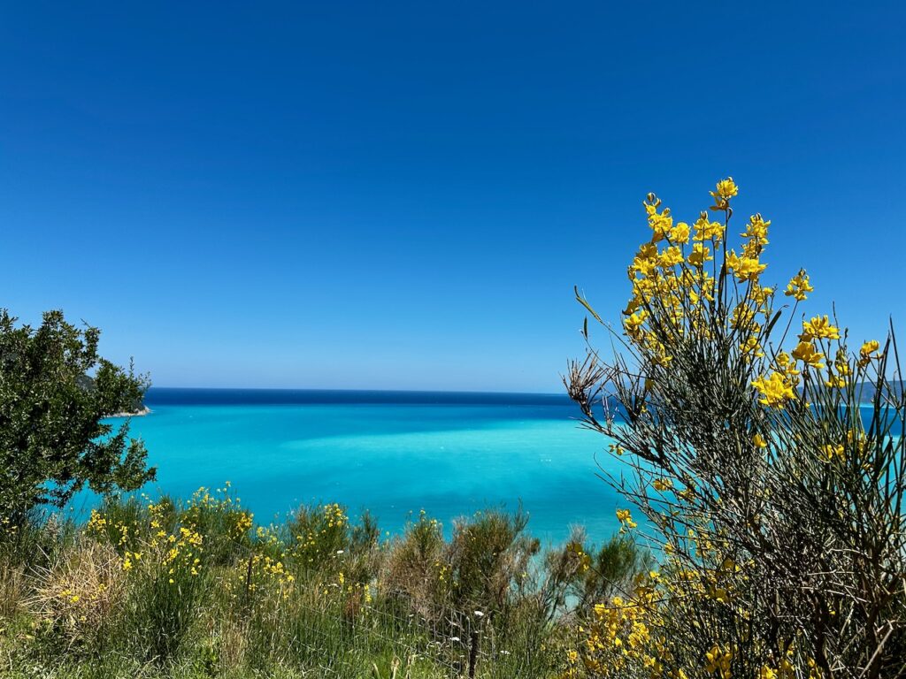 Foto von FASZINATION WASSER